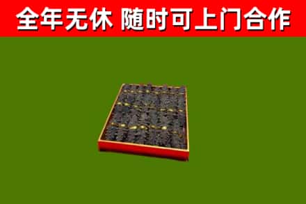 普宁市回收海参